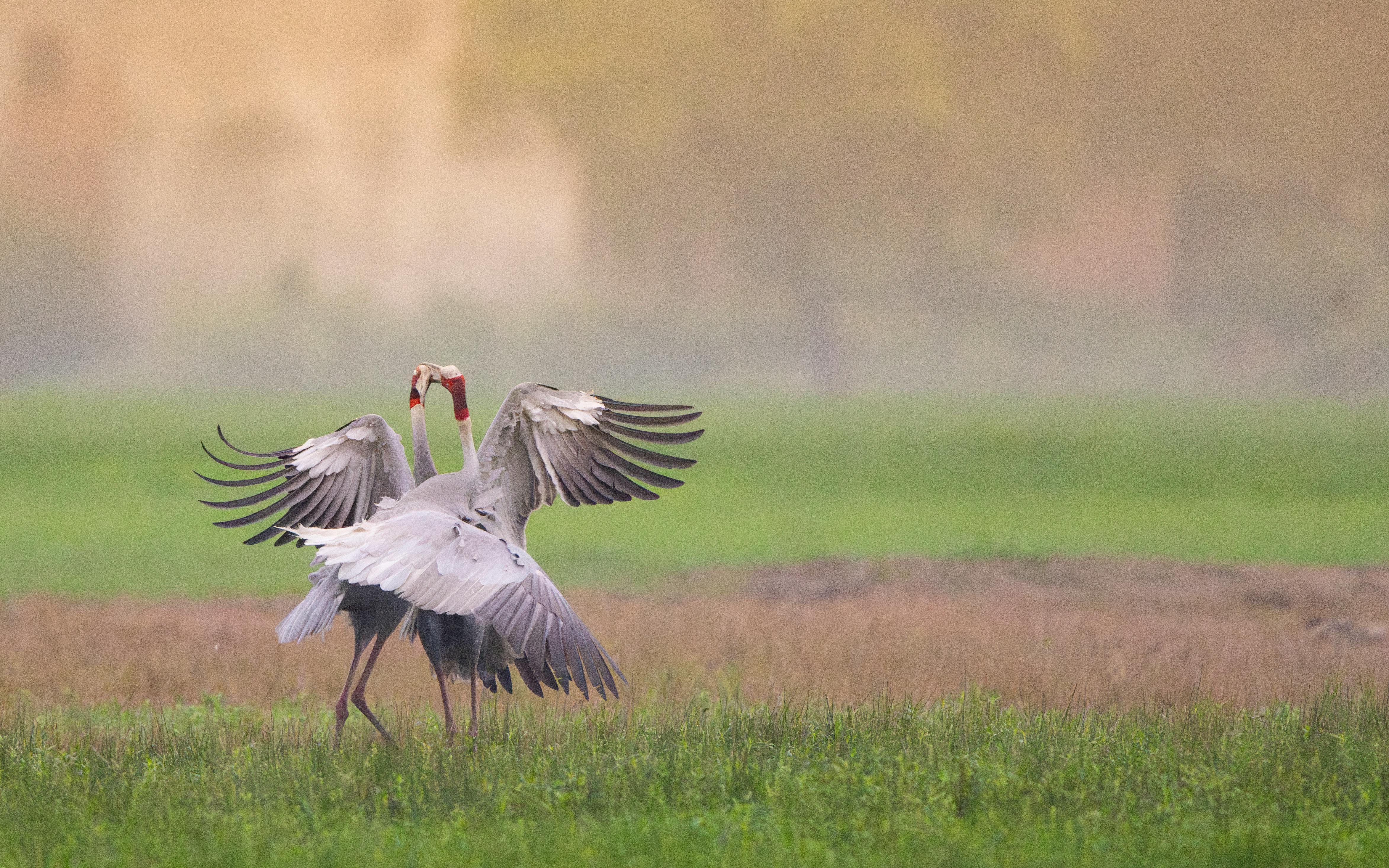 Historic Stone Town alleyway in Zanzibar